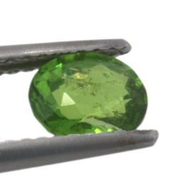 0.90ct Grenat Tsavorite Taille Ovale