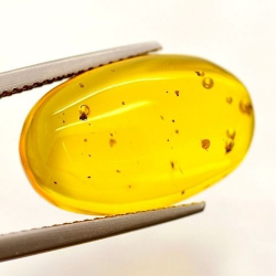 Ambre naturel 5,16 ct taille cabochon 19,11x11,91 mm